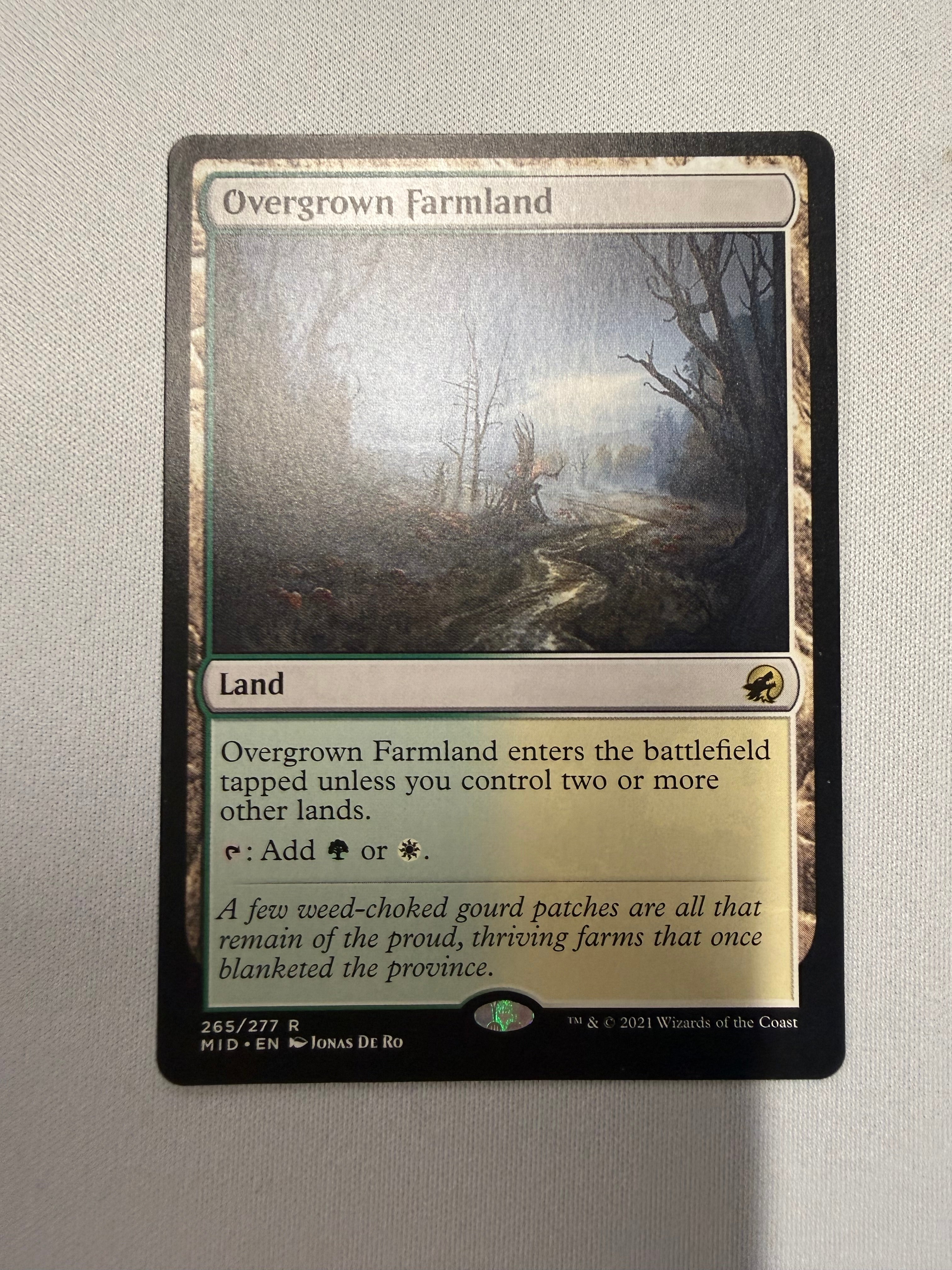 Overgrown Farmland