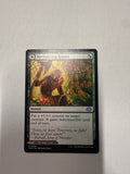 Revitalizing Repast/ Old- Growth Grove