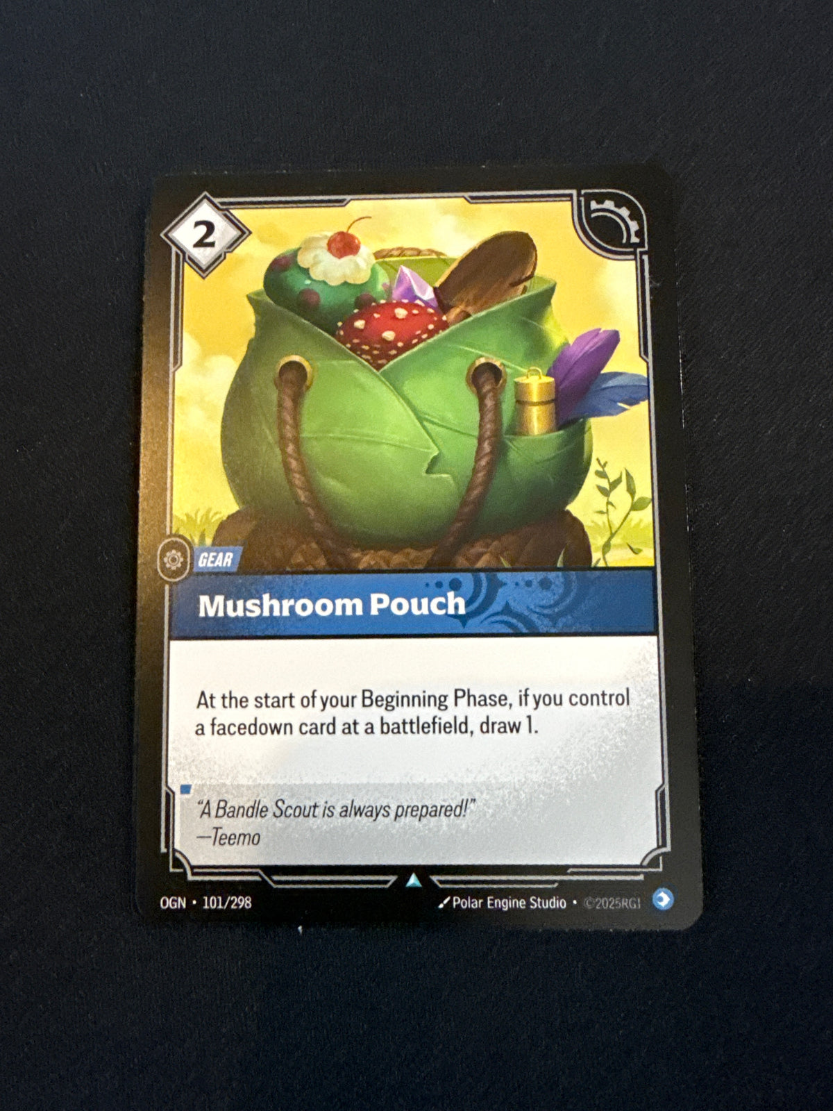 Mushroom pouch
