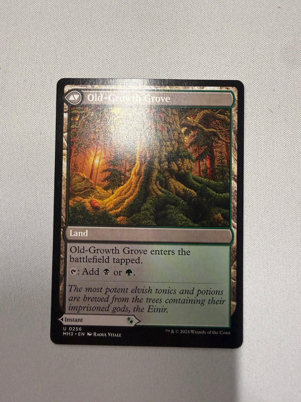 Revitalizing Repast/ Old- Growth Grove