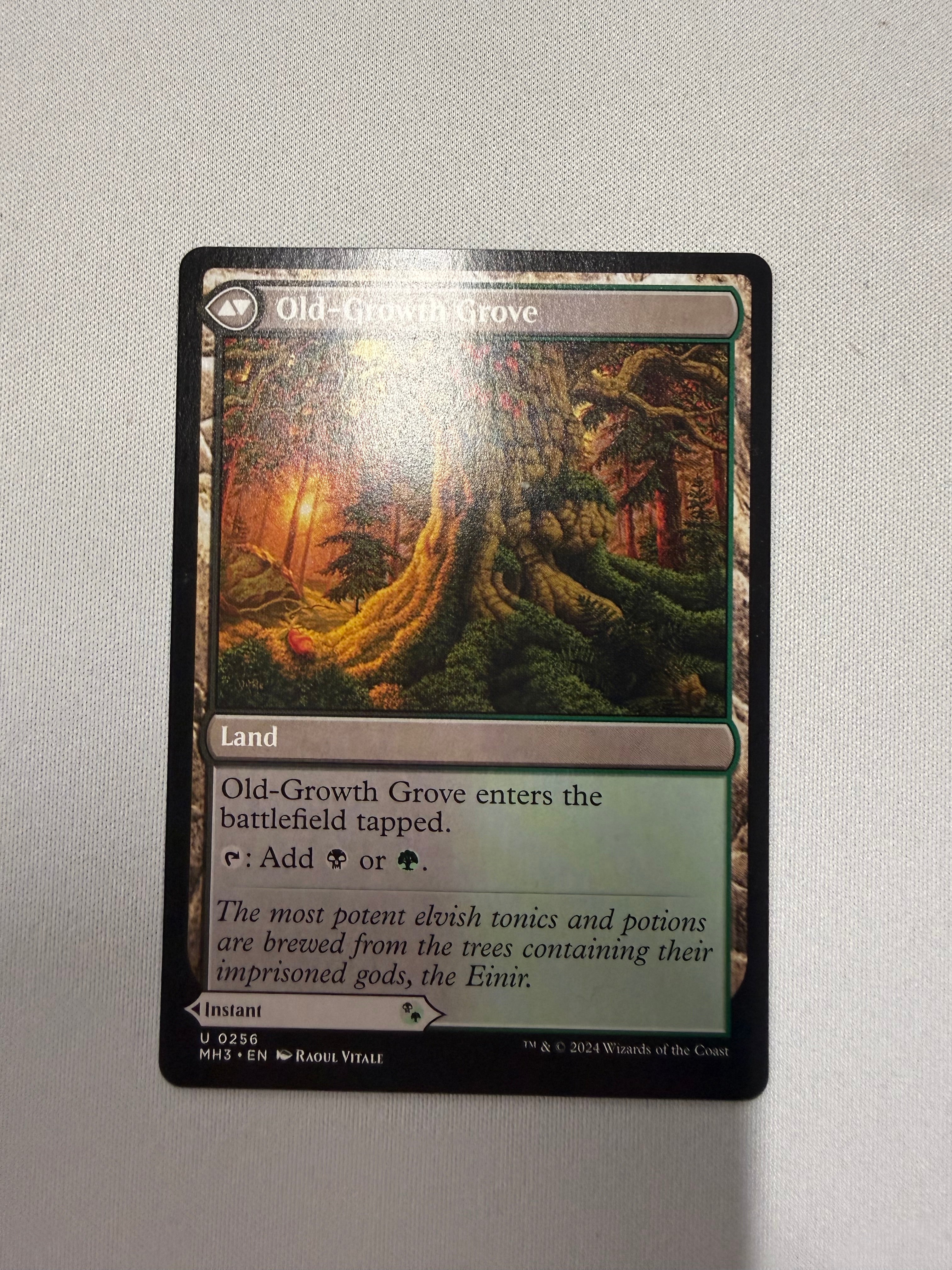 Revitalizing Repast/ Old- Growth Grove
