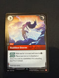 Sudden Storm