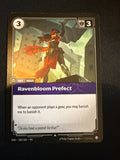 Ravenbloom Prefect