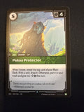 Pakaa Protector