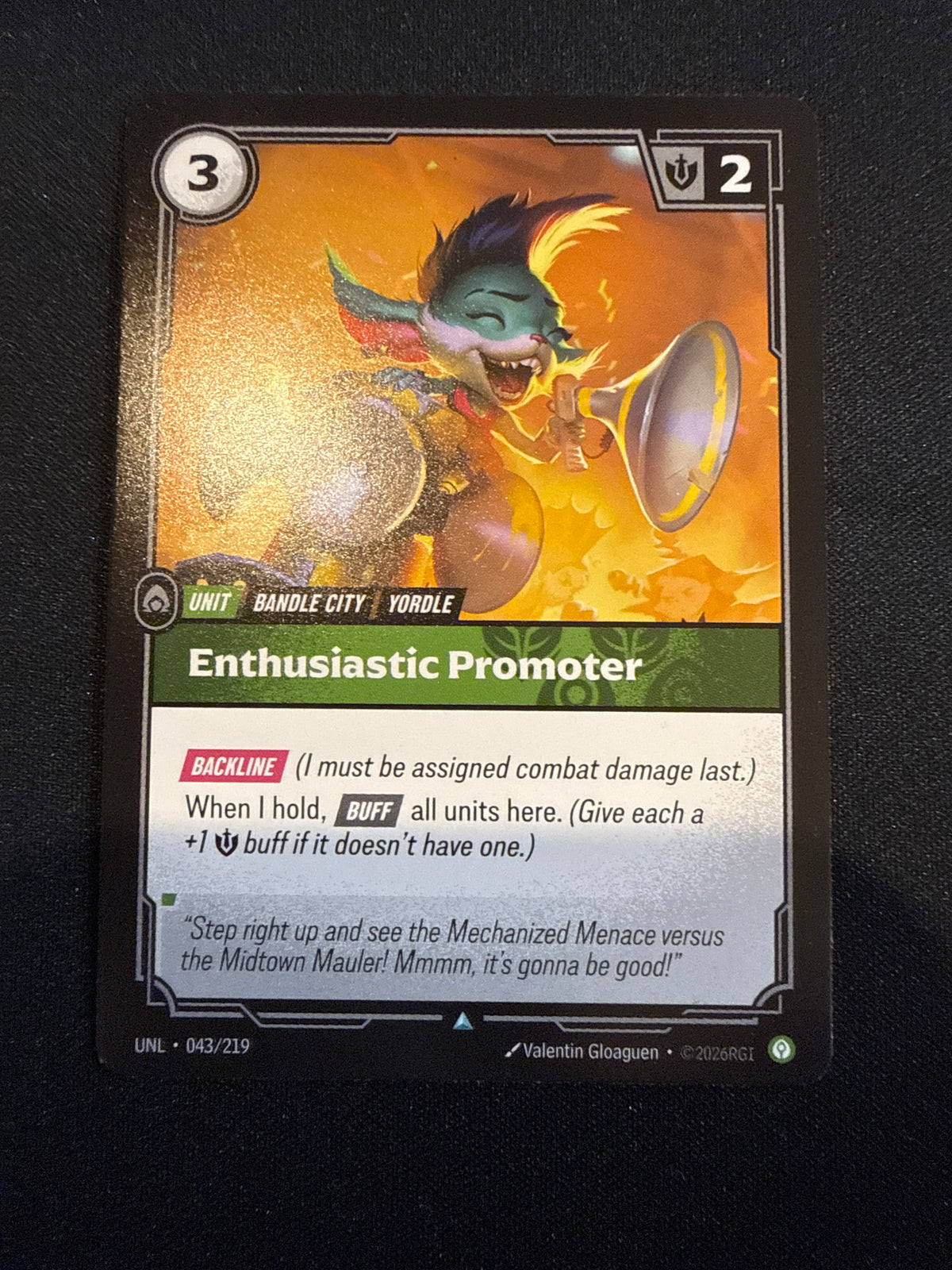 Enthusiastic Promoter