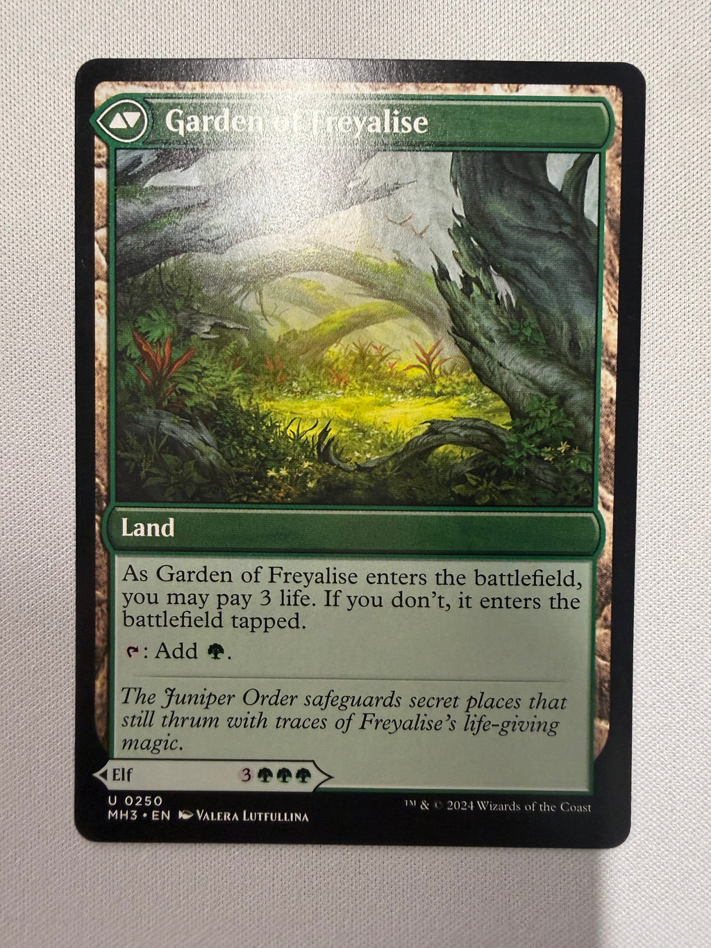 Disciple of Freyalise