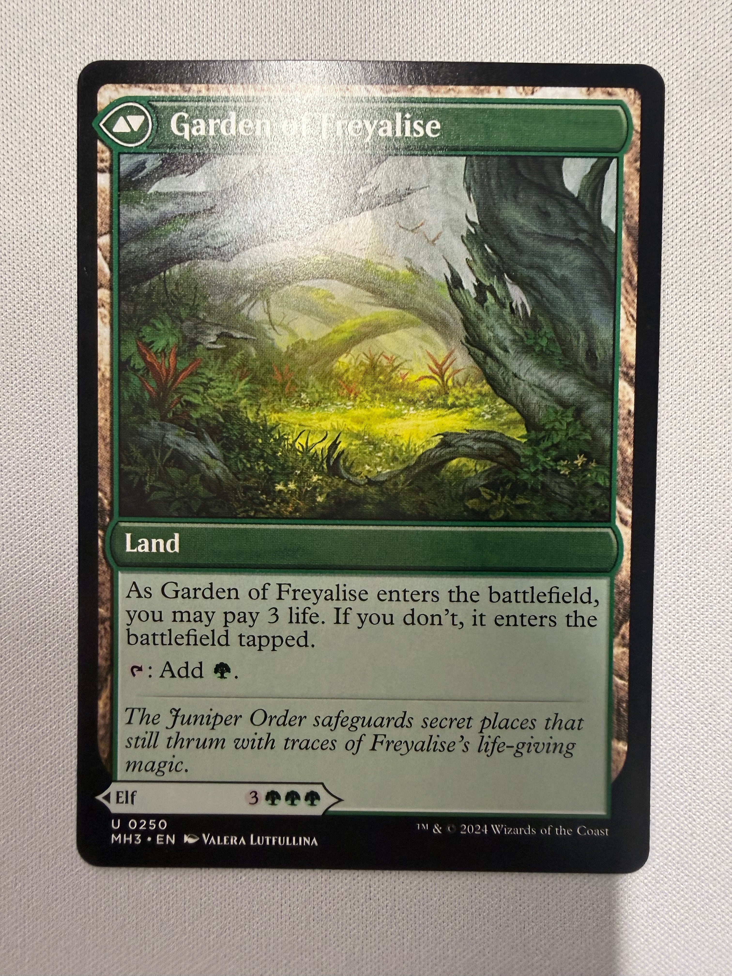 Disciple of Freyalise