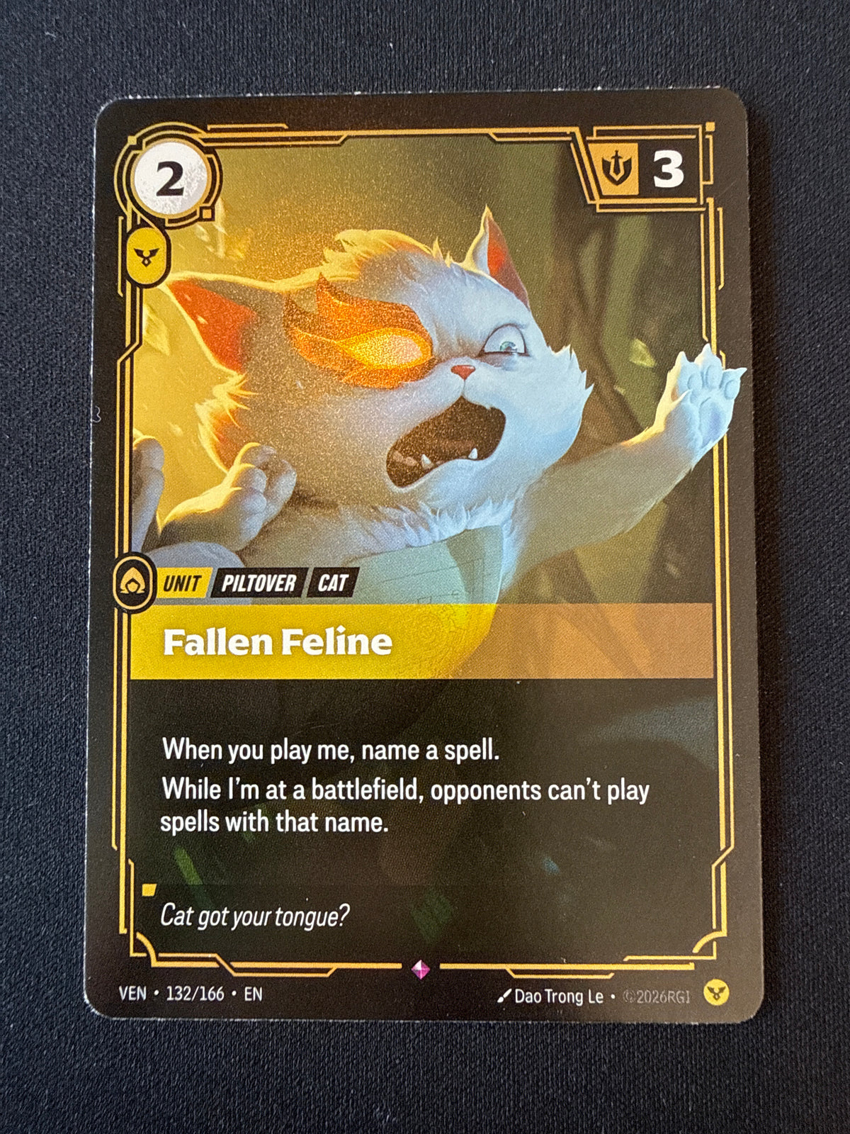 Fallen Feline