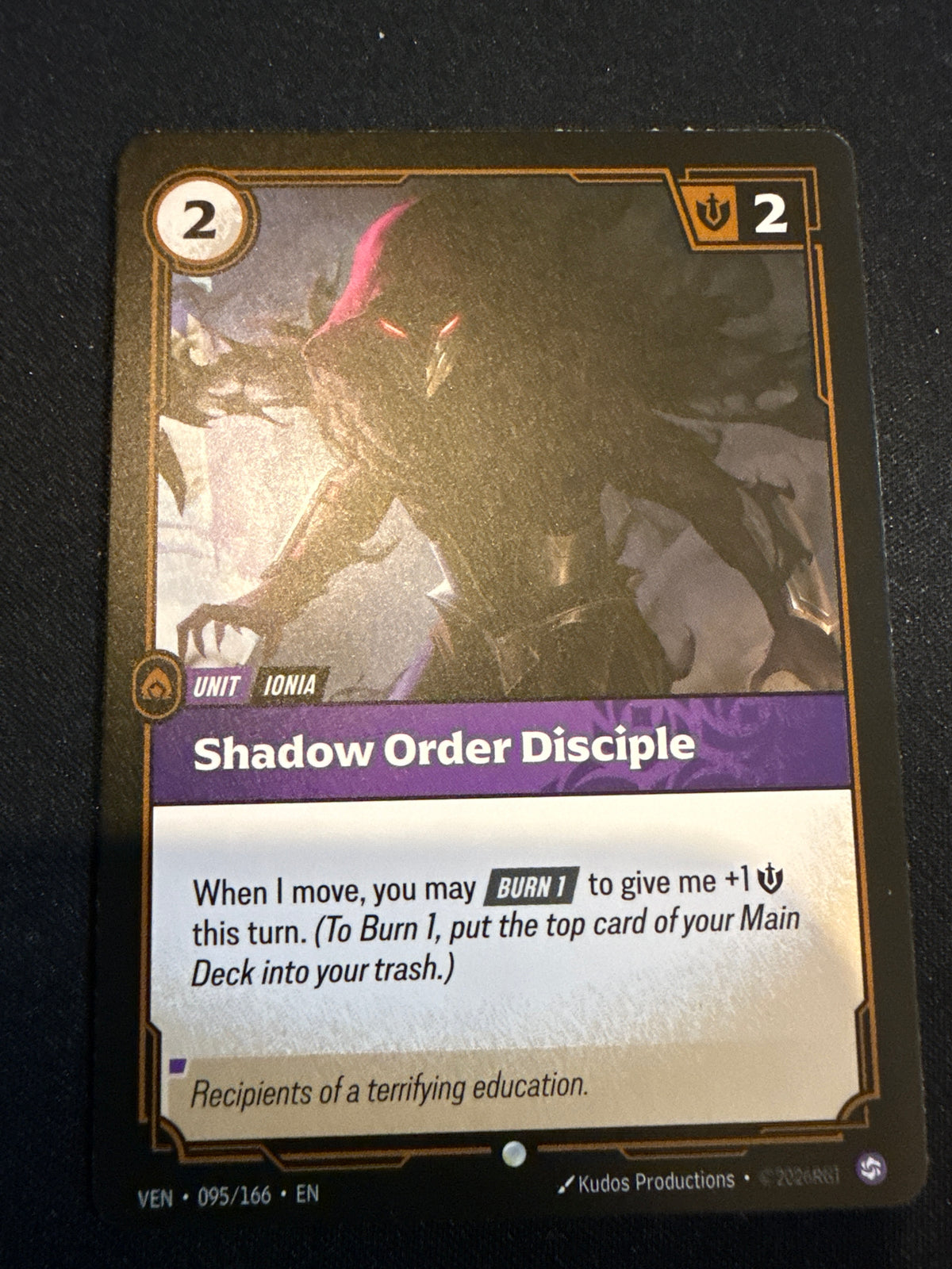 Shadow Order Disciple